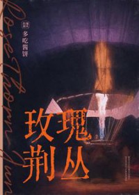 玫瑰荆丛by多吃酱饼