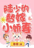 沈星辰陆湛庭免费阅读