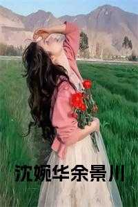 沈婉华余景川贺铮章节