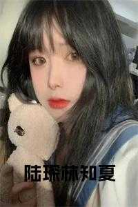 陆琛林知夏的最新章节更新时间