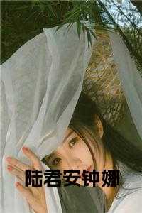 钟娜陆君安最后怎么样了