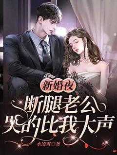 柳小念陆景南全文免费阅读