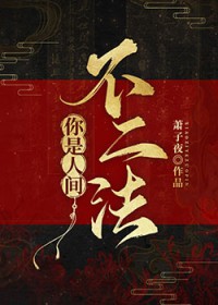 你是人间不二法未删版
