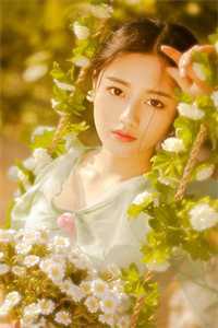 姜圆殷东阅读全文