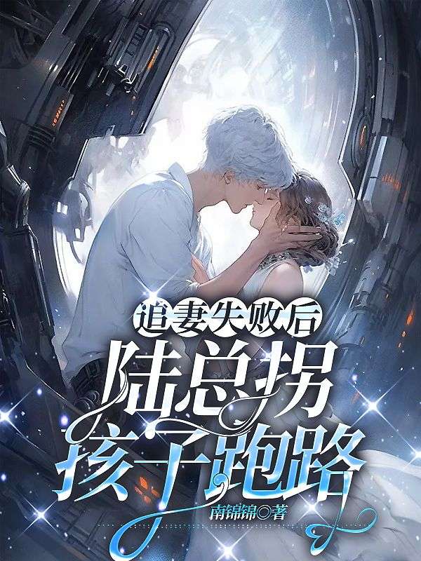 陆总追妻路漫漫珺婷