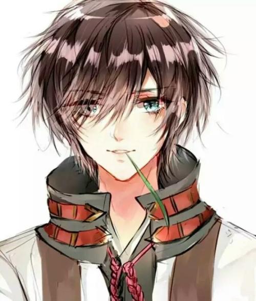 初之心盛霆烨全文免费读