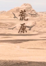 荒原无删减