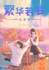 繁华若梦惜流年是什么意思