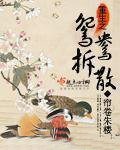 重生之鸳鸯拆散 百度