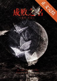 成败之举是什么意思