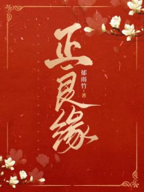 正良缘笔趣阁