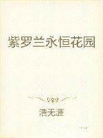 紫罗兰永恒花园是哪个动漫公司