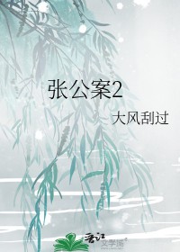张公案2txt