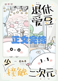 退休爱豆少接触二次元全文免费阅读