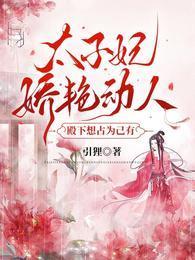 太子妃皇上