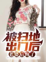 叶尘韩婉儿的冰凤婆婆找叶尘多少章