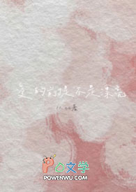 爱的前提不是漂亮在线阅读