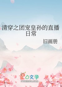 清穿之团宠小皇孙