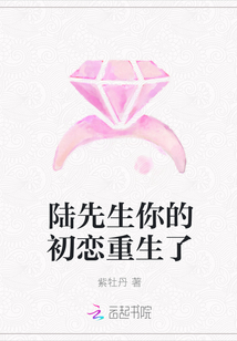 大雪满弓刀讲的什么