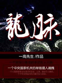 龙脉另一种姿态安装教程