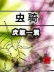 虫骑士穿越机多少钱