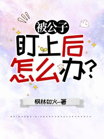 原神公子bg