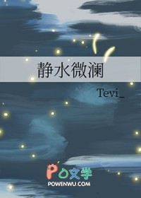 静水微澜适合什么风格