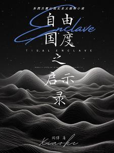 电影自由国度解析