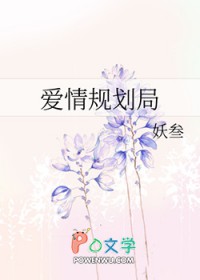 爱情规划局 妖叁顶点