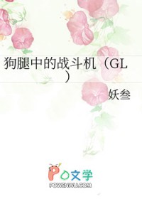 狗腿中的战斗机gl