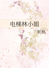电梯林小姐全文免费阅读