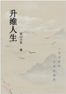 升维人生TXT