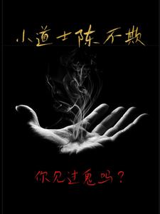 小道士陈不欺免费阅读