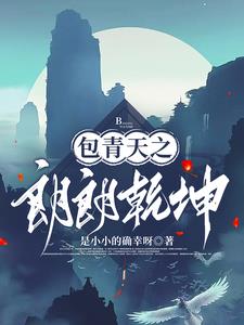 包公探案之2008