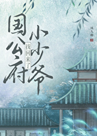 公府小少爷找回来了晋江