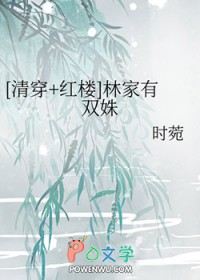 清穿红楼林家有双姝TXT