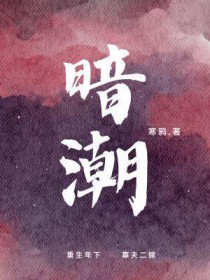 文明时代2暗潮