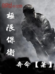 极限保卫战无广告