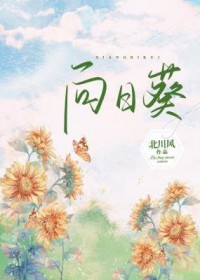 向日葵花语是啥