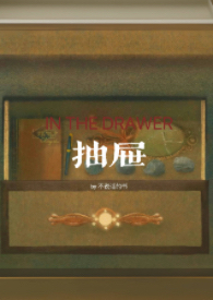 抽屉(亲姐弟)作者不说话的书第几章