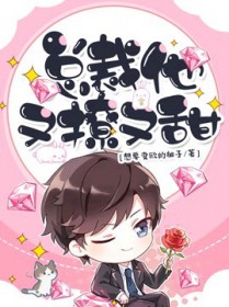 总裁他又撩又甜TXT