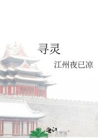 寻灵大冒险第二季全集