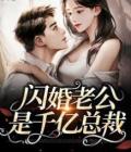 错嫁豪门阔少的全文阅读全文