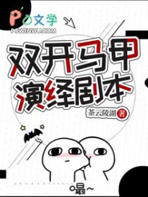 双开马甲演绎剧本君照流在线阅读