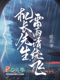 雷雨请绕飞大结局