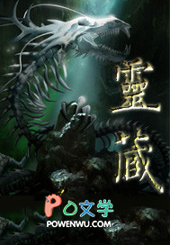 灵藏大师