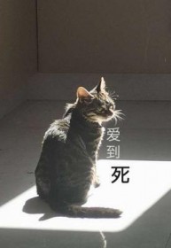 我与你永不可别离爱你爱到死