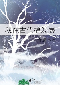 我在古代搞发展 奇遇木木 笔趣阁