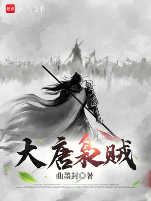 大唐枭贼txt