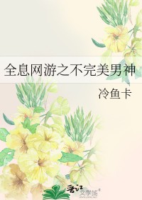 全息网游完结